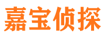 仲巴市私家侦探